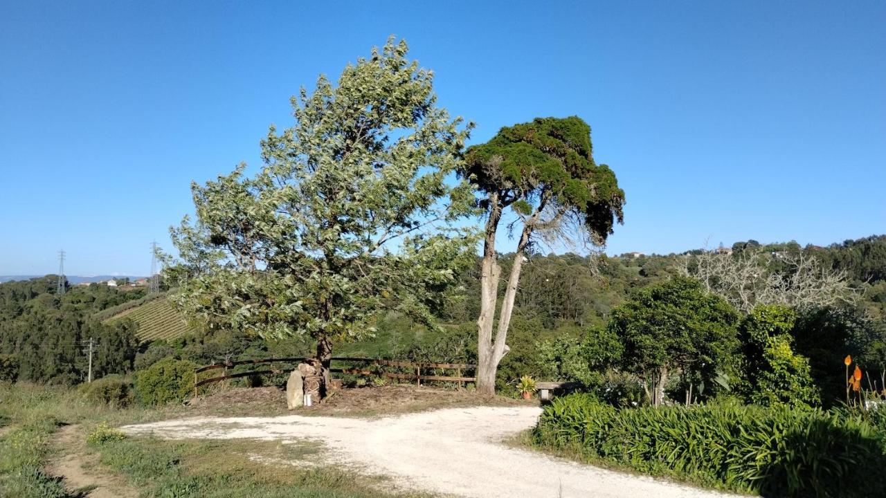 Quinta Do Oratorio Agroturismo Óbidos Exteriér fotografie